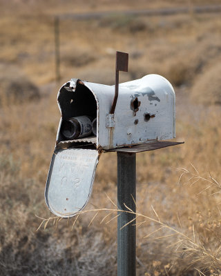 You've got mail!