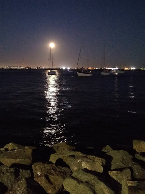 Moonrise with cell phone camera