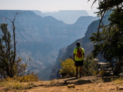 Grand Canyon view