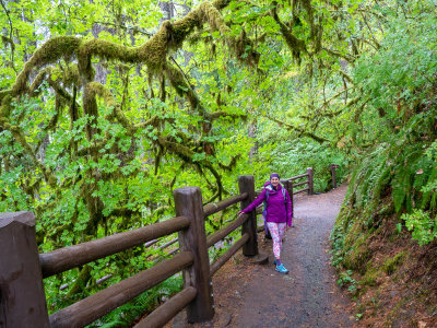 Kendra on the trail 