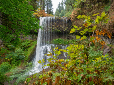 Middle North Falls