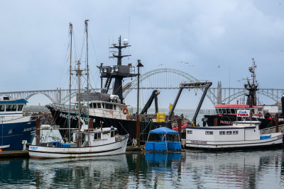 Newport harbor