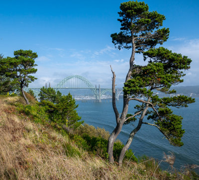 Bridge view