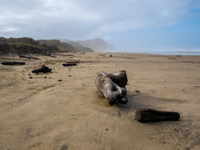 Washburne beach