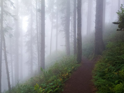 Cape Lookout trail