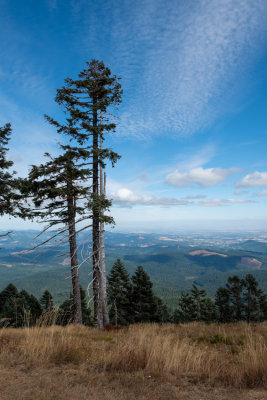 View from Mary's Peak