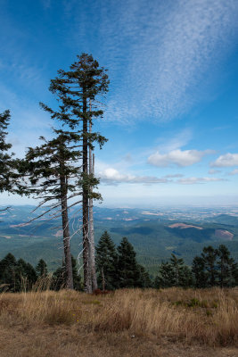 Oregon views