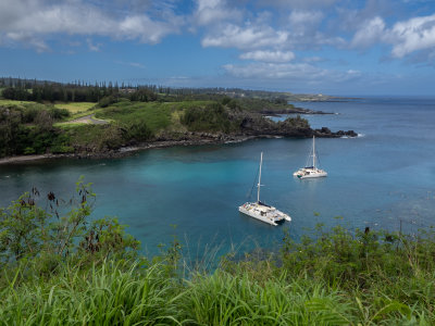 Honolua Bay