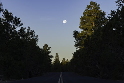 Walking back to my parked truck, I enjoyed one last view of the good ole Moon that lit my way and kept me company all night