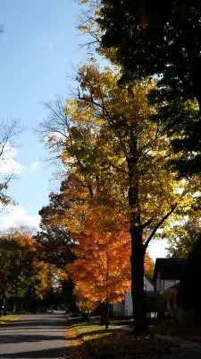 DSCF1125_034.jpg