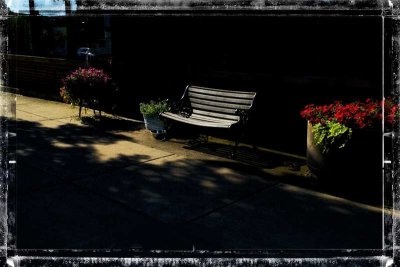 2019_Ash_street_bench_005.jpg