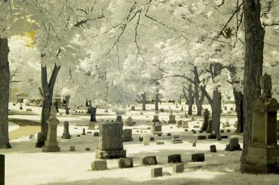 2019_MG_IR_012.jpg