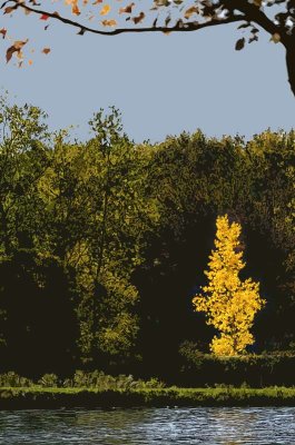 LochLaura_09.jpg