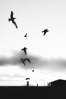 Featured Gallery