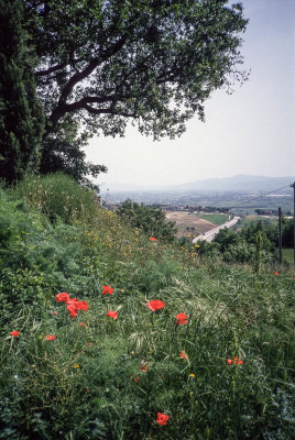 Tuscany 1994