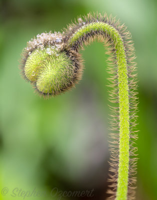 _DSC9059Edit.jpg