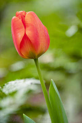 _DSC8670Edit.jpg