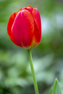 _DSC8676Edit.jpg