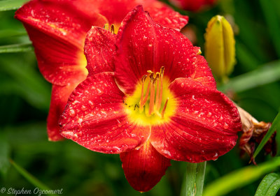 _DSC0347Edit.jpg