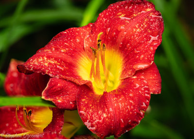 _DSC0363Edit.jpg