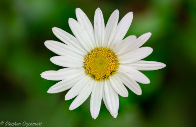 _DSC0943Edit.jpg