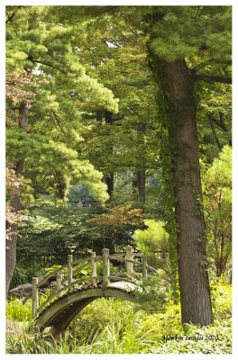 Fabyan Japanese Garden, Geneva.jpg