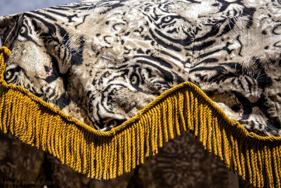 Endless fabrics creativity