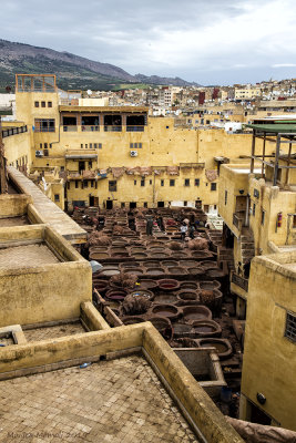 Tannery