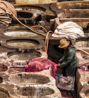 Cat tannery