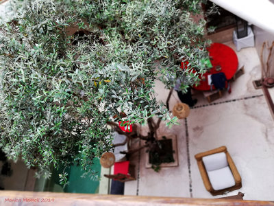Riad