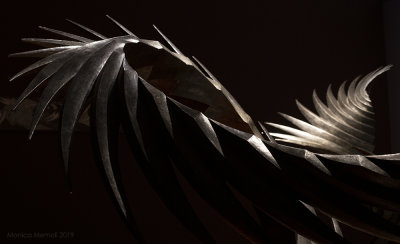 Iron wings
