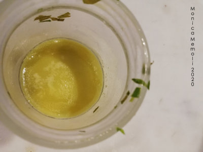 Aromatic frozen oil. Extra virgin olive oil with garlic and parsley.
