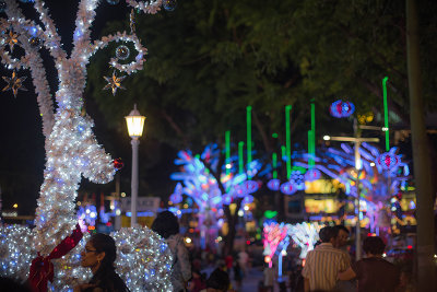 Christmas At Orchard Road 2015-1 (7).jpg