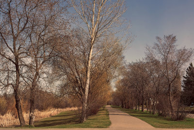 Spring in Manitoba