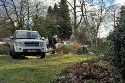 It takes some good chainsaws for this job.