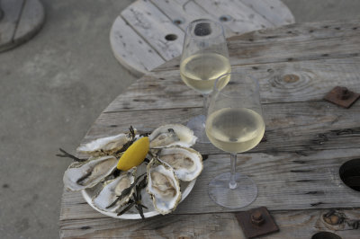 Oysters from Zeeland(Zeeuwse)