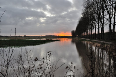 Polder along the river Schelde in Tielrode
