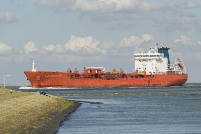 Schelde at Terneuzen(Netherlands)