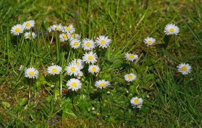 Small is beautiful.