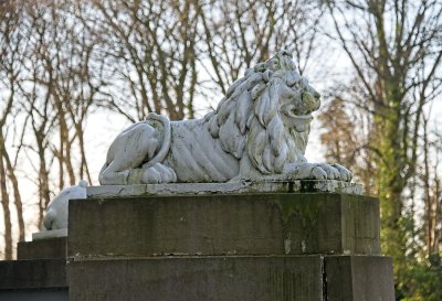 g12/91/764491/3/172361689.OOlA45NX.jpg