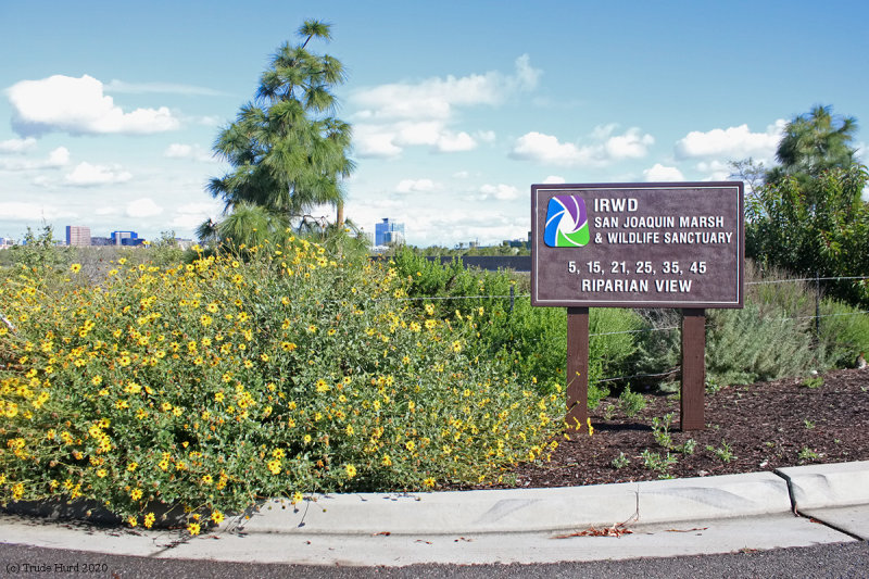 Marsh remains open to visitors seeking calm