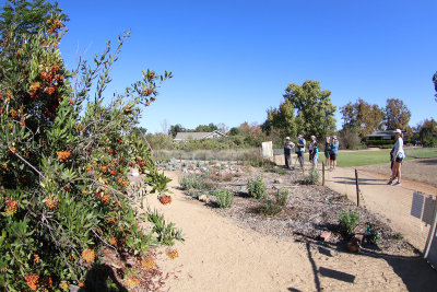 Visit Pollinators' Garden to see native plants that benefit birds