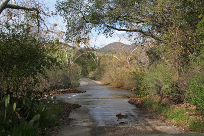 12 bell creek crosses road