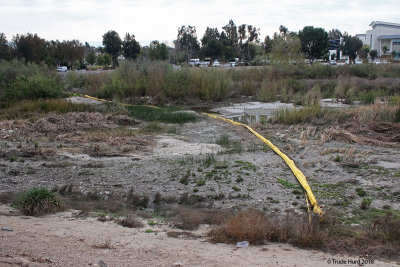 Yellow trash boom across the creek catches trash before it flows to the ocean