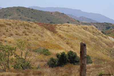 irvine_park_2020_june