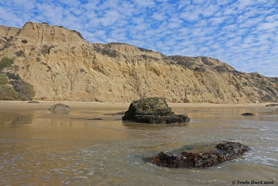 Low Tide