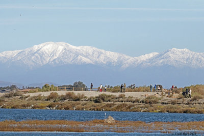 Begin the new year at Bolsa Chica with snow on San Gabriels 