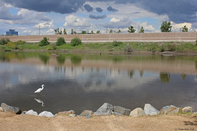 Safe place for birds and people during pandemic