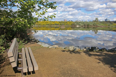 Pond E Bench