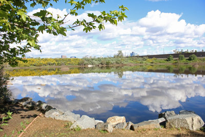 Pond E Reflection 